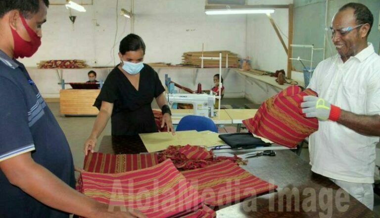 Alola-Esperansa-Update-Google9