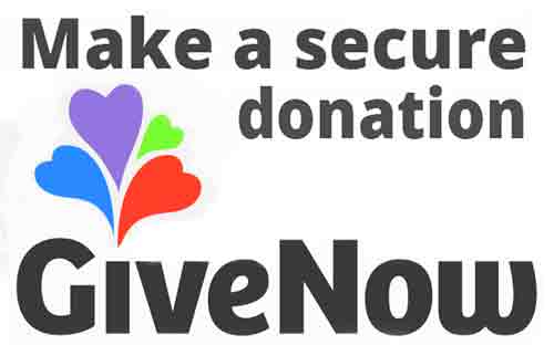 Give-Now-Alola-webkiik