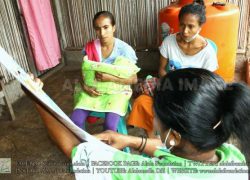 Alola support group activities in the area of ​​maternal and child health